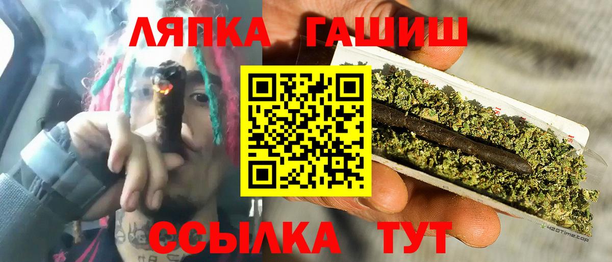 ГАШ Premium Асино