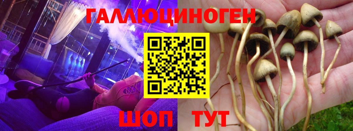 Галлюциногенные грибы ЛСД Асино
