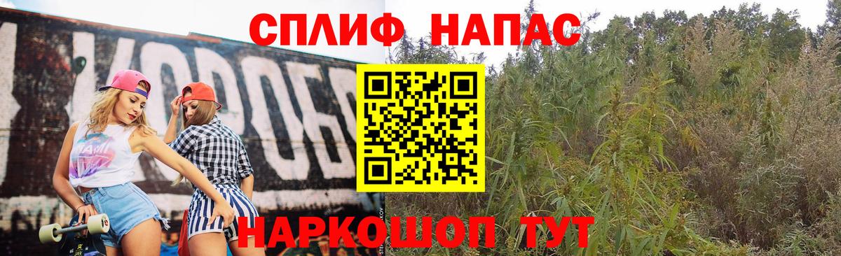 Асино  Бошки марихуана тримм  Конопля Bruce Banner  Каннабис MAZAR  Бошки марихуана ГИДРОПОН  Вход с VPN 